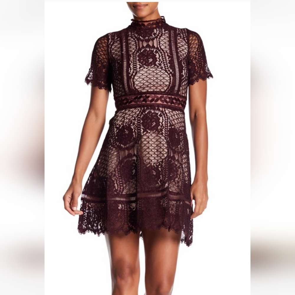 BB Dakota Aria Lace A-Line Dress Fig bohemian preppy cocktail dress size 4 NWT